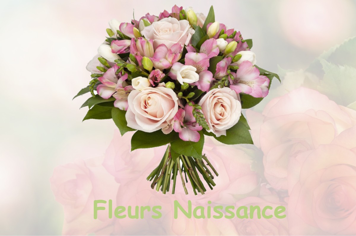 fleurs naissance SAINT-PIERRE-DE-BELLEVILLE